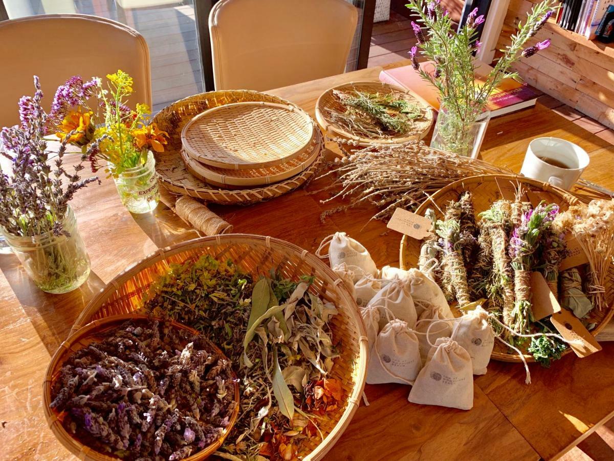 Inn At Moonlight Beach Encinitas Ngoại thất bức ảnh