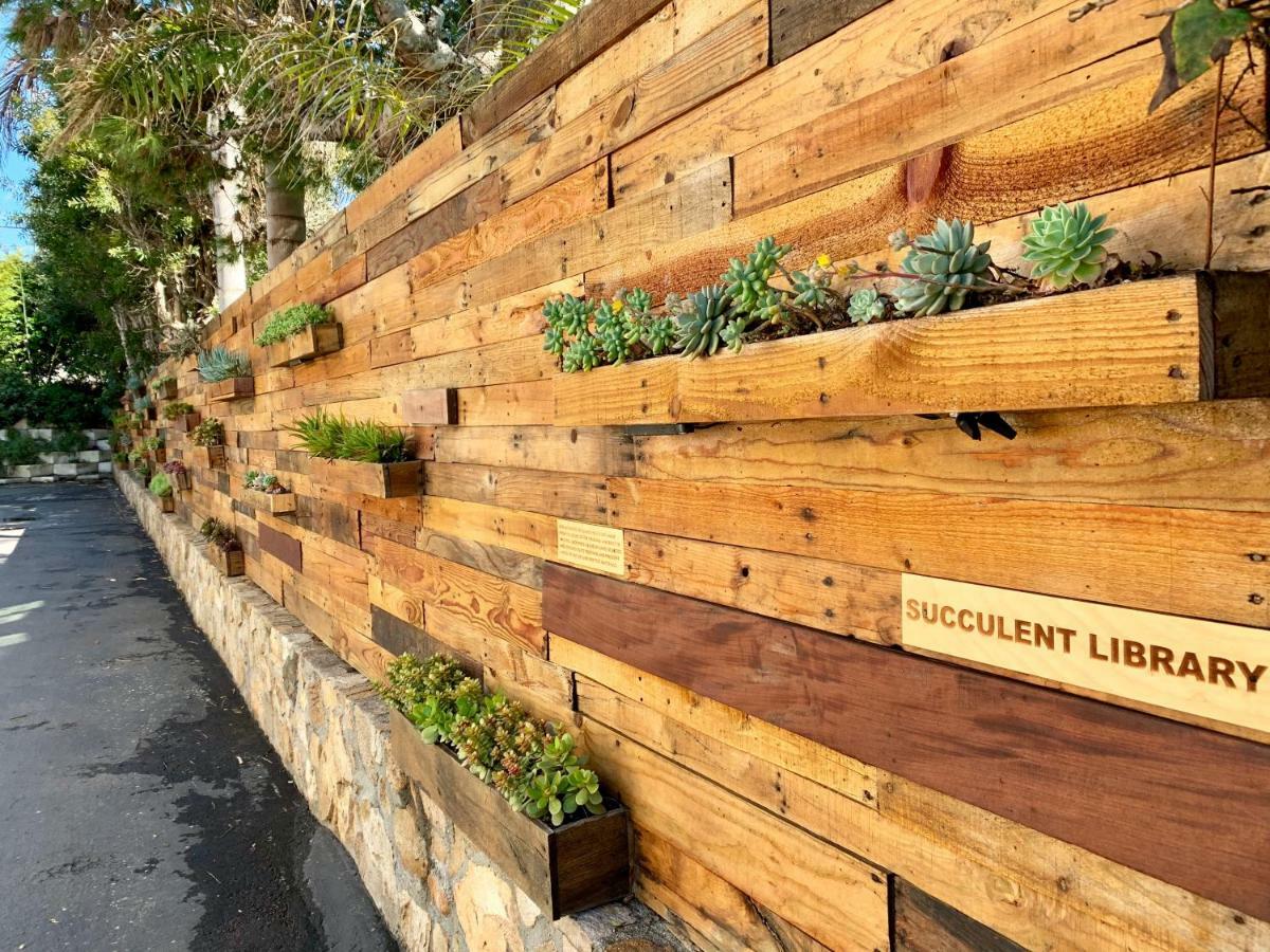 Inn At Moonlight Beach Encinitas Ngoại thất bức ảnh