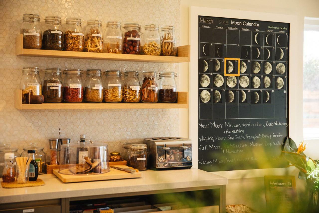 Inn At Moonlight Beach Encinitas Ngoại thất bức ảnh